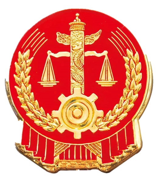 人民法院非羁押监管系统